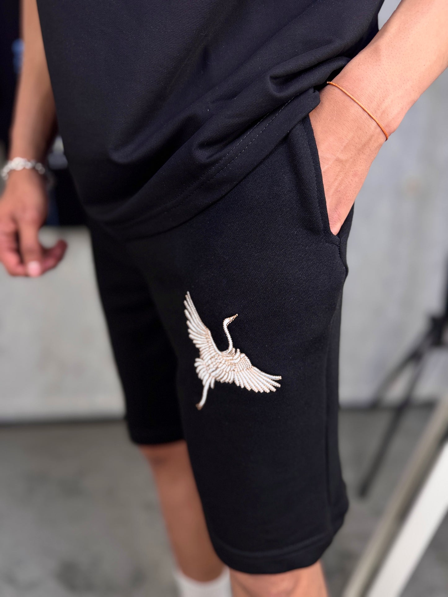 Ensemble Fly Away (Oversized)